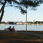 Zeljko Nr2 From The 800 M * Novigrad Istria