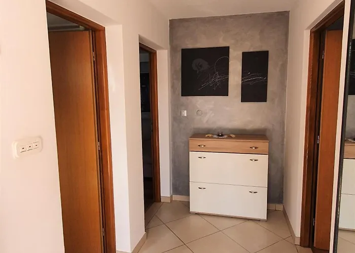 Zeljko Nr2 From The 800 M Apartment Novigrad (Istria)
