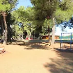 Zeljko Nr2 From The 800 M * Novigrad Istria