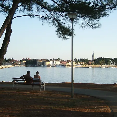 Zeljko Nr2 From The 800 M * Novigrad (Istria)