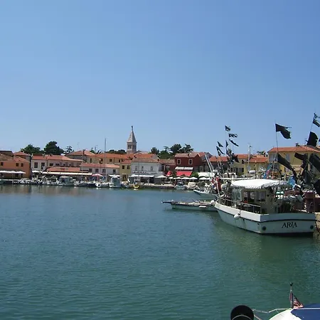 Zeljko Nr2 From The 800 M Apartment Novigrad (Istria)