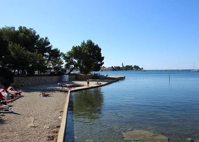 Zeljko Nr2 From The 800 M Lejlighed Novigrad Istria