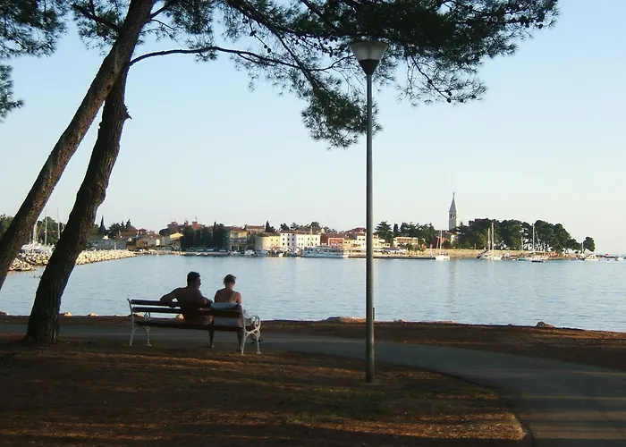 Zeljko Nr2 From The 800 M * Novigrad Istria