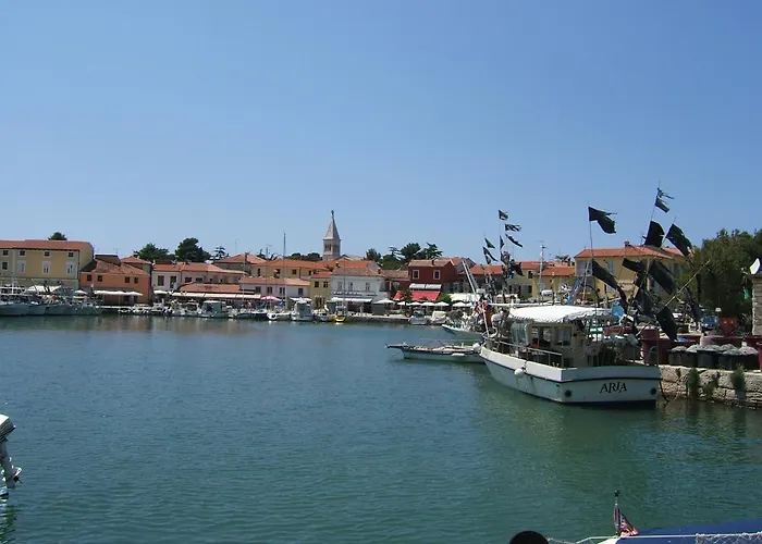Zeljko Nr2 From The 800 M Lejlighed Novigrad Istria